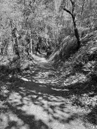 Südeuropa - Pontevedra - Hiking The Way of St. James From Portugal to Spain - 1