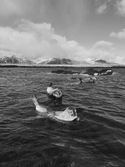 Island - Snæfellsnes - Iceland Highlands Summer Adventure: Explore the Breathtaking Beauty of the Highlands - 1