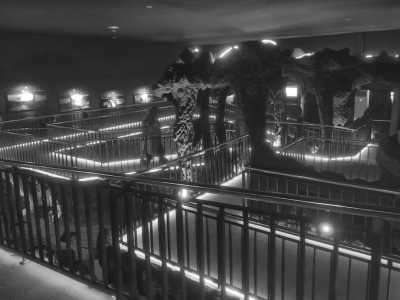 Indonesia - Banyuwangi Park - Travel to Banyuwangi, Indonesia with a Local - 5