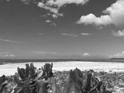 Tanzania - Jambiani - Zanzibar Coworking Experience: Your Journey Starts Here - 2