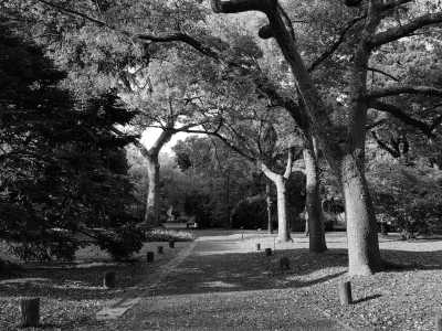 South America - Bosques de Palermo - Discover Buenos Aires: A Guided Coworking Journey with a Local Expert + Colonia del Sacramento (Uruguay) - 1