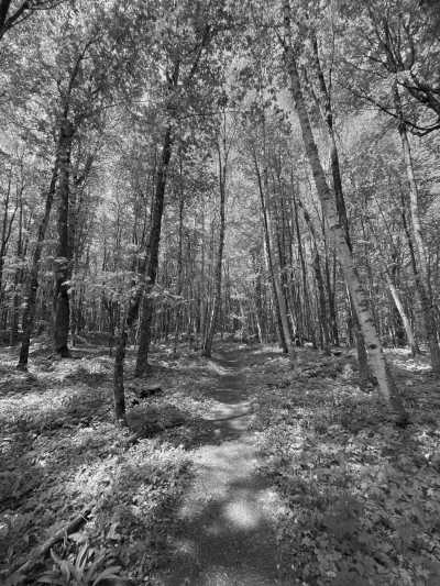 United States - Pictured Rocks National Lakeshore - Pictured Rocks National Lakeshore, Upper Peninsula, Michigan, USA - 1