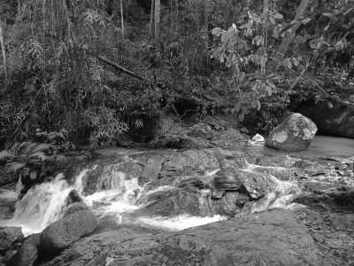 Malaysia - Penang Botanic Gardens - Exploring the Beauties of Penang, Malaysia and the "Food Paradise"