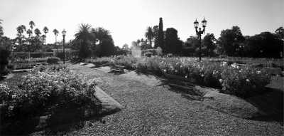South America - Bosques de Palermo - Discover Buenos Aires: A Guided Coworking Journey with a Local Expert + Colonia del Sacramento (Uruguay) - 2