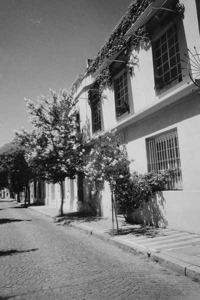 Argentina - Palermo - Buenos Aires Argentina Yoga Retreat & City Life! - 8