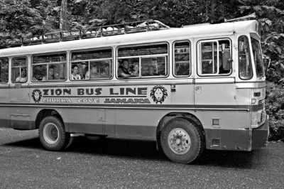 Jamaika - Chukka Island Village Outpost - Discover Jamaica -  Beaches, Good Vibes, visit Rick's café, famous Pelican Bar & more - ALL INCLUSIVE - 4