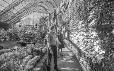 Australia - Sydney Opera House - Ultimate 6-Day Sydney Adventure: Explore Iconic Sights, Boat Tours, Mountain Ranges, Beach Walks, and Culinary Delights in Australia - 4