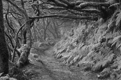 Spanien - Anaga - Island Yoga Retreat 🧘🏽‍♀️  Moon Rituals, Water Cleansing, Journaling, Nature Walks and New Years Manifestations. ✨ Women only 🫶🏽 - 1