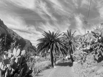 Spain - Masca - Spain With Nancy Sevilla - 3