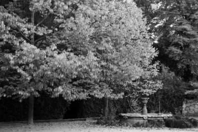 Portugal - Pedras Salgadas - Explore the Hidden Gems 💎 of the North of Portugal with a Local - 3