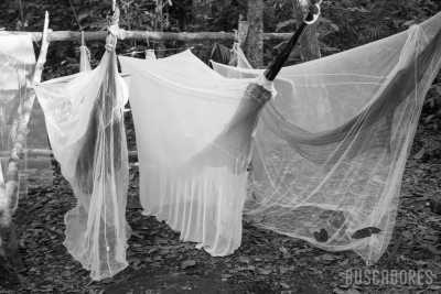 Brazil - Rio Juma - Amazon Expedition: 7-days immersion with a riverside family in the Amazon. - 4