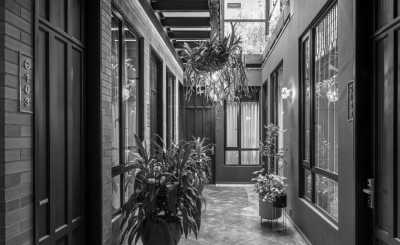 Kolumbien - Bogotá - Unmissable Routes in Colombia: Meet the Artist & Life Connection - 4