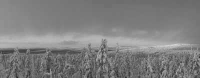 Finland - Lokka - Journey into Lapland’s pristine nature: drums, land journeys, silence and connection - 2