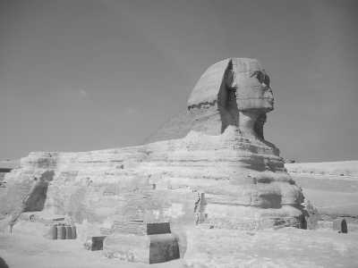 Ägypten - Giza Plateau - Time Travel in Cairo: Immersing in the Rich History and Delicious Flavors of Egypt - 3