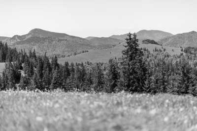 Slowakei - Tourist shelter Limba - Wilderness and Tranquility: Hiking Adventure in Great Fatra National Park in Slovakia - 1
