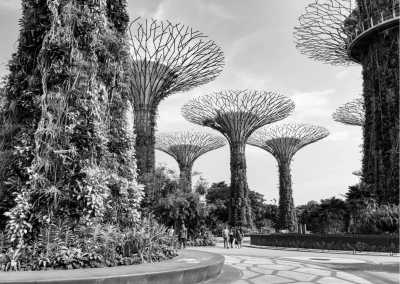 Singapur - Singapore - Singapore Extravaganza: Unveiling the City's Best Attractions, Culinary Delights, and Cultural Marvels