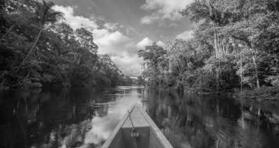 Ecuador - Cuyabeno - Amazon Lodge Cuyabeno Reserve