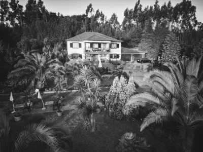 Portugal - Workation / Remote Working Holiday: 2 Wochen CoLiving & CoWorking im Paradies Madeira: Workspace mit Highspeed Internet - JoinMyTrip