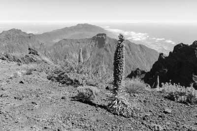 Spain - Roque de los Muchachos - Wanderreise mit tollen Tageswanderungen auf der Kanareninsel la Palma