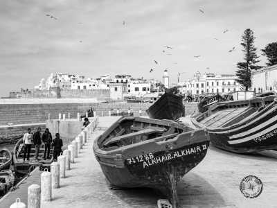 Morocco - Fish Market - WINTER ESCAPE :  YOGA, HORSERIDING & SURF RETREAT THROUGH MOROCCAN'S WONDERS