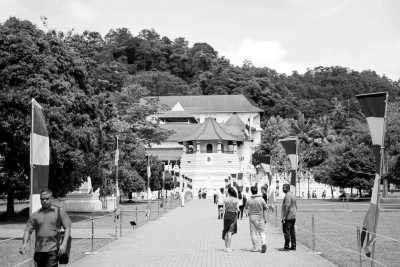 Sri Lanka - Kandy - Explore Sri Lanka for 5 Days: Kandy and Down South - 1