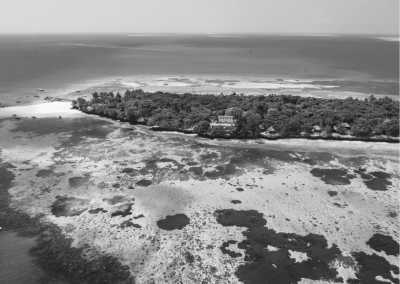 Tanzania - Nakupenda island & beach tours - Zanzibar and Mbudya: A Beach Paradise with Rich History and Delectable Food in Tanzania - 1