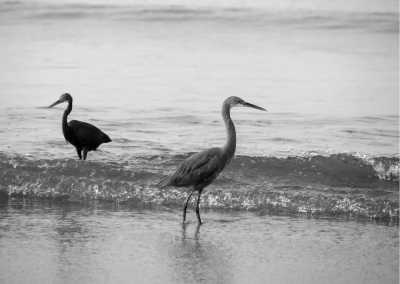 India - Tarkarli - Unexplored Coastline Of India Sindhududurg - Scenic Landscapes, Local Food and Culture - 1