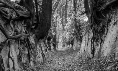 Poland - Kazimierz Dolny - Unique Poland for Beginners Experience: Royal cities, UNESCO Sites, and Food and Wine tours! - 10