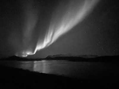 Northern Europe - Sommarøy - Nordic Experience and Whale Watching in Norway,Finland - 2