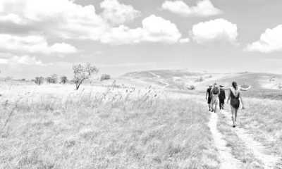 Indonesien - Komodo Island - Trip to Komodo Island: Pink beaches, Snorkeling, Staying in a Traditional Village in Indonesia and more - 10