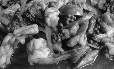 Thailand - Thonburi Market Place - Unleash the Wonders of Bangkok From Temples to Street Food in 4 days by local in Thailand - 5