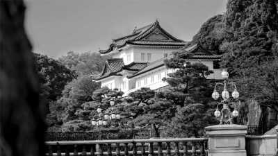 Japan - Imperial Palace - Photographers Unite! Shoot the best spots in Tokyo with a Pro