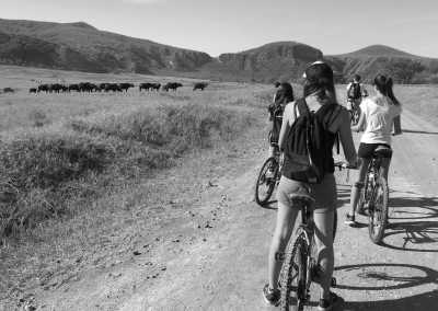 Kenya - Hells Gate National Park - Epic Budget Safari: Amboseli, Hell’s Gate, Lake Naivasha, Nairobi National Park