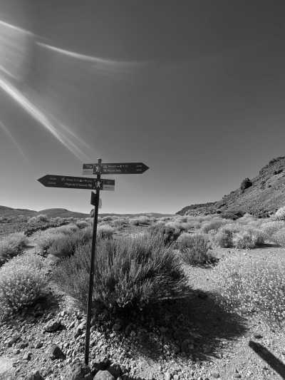 Spain - Teide National Park - ✨ Celebrate New Years Eve in the Subtropical island of Tenerife 🌴 Start 2023 with your toes in the sand and a Sangria in your hand! 🍹 - 3