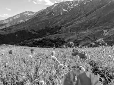 Armenia - Haghpat Monastery Complex - Unveiling the Rich History of Armenia: 8-Day Exploration - 4