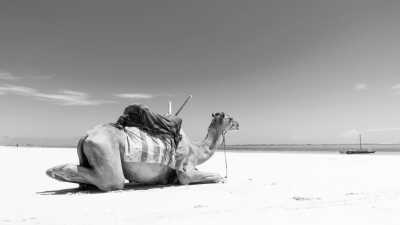 Kenia - Diani - Backpack the Kenyan Swahili Coast - 1