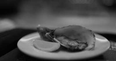 Portugal - Lisbon - Coworking Surfing & Yoga Home Office Villa in Portugal 🇵🇹, Lisbon  💻 🏄🧘‍♀️ ( FOOD, YOGA & SURF LESSONS INCLUDED) - 7