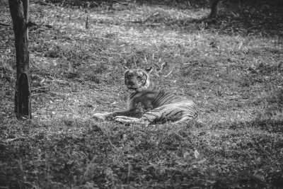 India - Visakhapatnam - Visakhapatnam Full City Tour: Submarine Museum, Indira Gandhi Zoological Park, Kailasagiri, Kambalakonda Wildlife Sanctuary, Ross Hill Church and More!