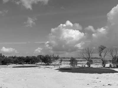 Tanzania - Jambiani - Zanzibar Coworking Experience: Your Journey Starts Here - 3