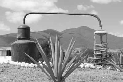 Mexiko - Santiago Matatlan - Experience the REAL Day of the Dead 2023 ☠️ 7-day EPIC trip in Mexico! 🇲🇽 - 3