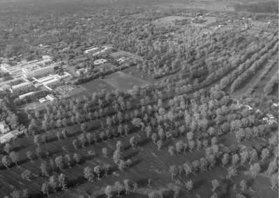 Tanzania - Moshi - An Incredible 12 Days trip in Tanzania Safari and Mount Kilimanjaro