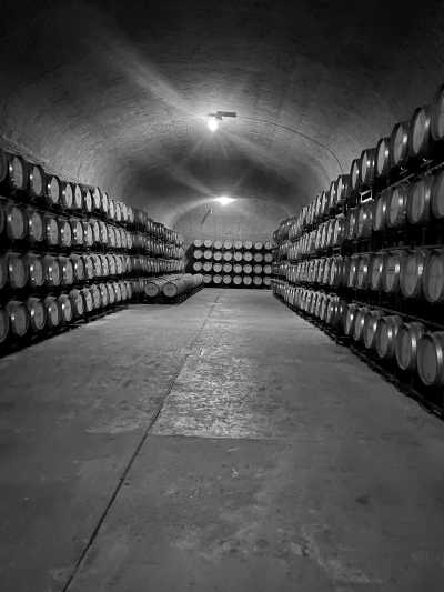 Mexico - Tequisquiapan - A Gastronomic  Journey Through the State of Queretaro in Central Mexico - 5