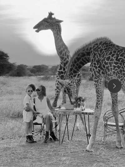 Tansania - Nyabogati - Serengeti Dreams: An Unforgettable Safari with Hot Air Balloon Magic - 8