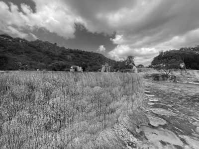 Mexiko - Oaxaca - SOUTH MEXICO WONDERS, DAY OF THE DEAD EDITION - 4