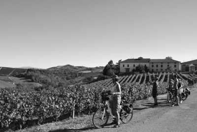 Italy - Langhe - Remote Working + Networking + Wellness Retreat: Italian Food and Wine with a Local. Jacuzzi, Pool, Spa, Stunning View Secret Spot! - 5