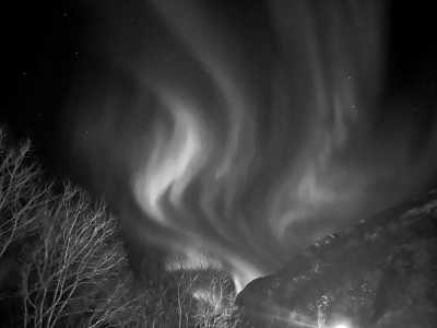 Northern Europe - Skjervøya - Nordic Experience and Whale Watching in Norway,Finland - 1