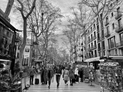 Spain - Barcelona - Explore the best of Barcelona! Wine, Tapas and More! - 5