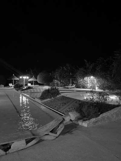 Senegal - Toubab Dialao - Senegal's Summer in Winter: Explore The Culture and Excitement in West Africa - 6