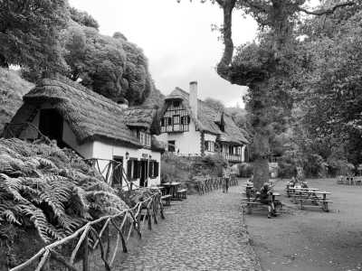 Portugal - PR9 Levada do Caldeirão Verde - Madeira Island Adventure Extravaganza: 7 Days of Thrills & Chills! (Dates flexible!)