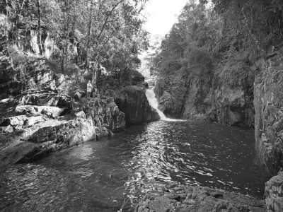 Australia - Cape Hillsborough - 🇦🇺Great Barrier Reef + Rainforest + Wildlife + Friends: Explore the Whitsundays - 5